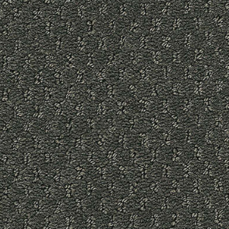 Influencer Classic Update Rich Titanium Nylon Carpet - Loop