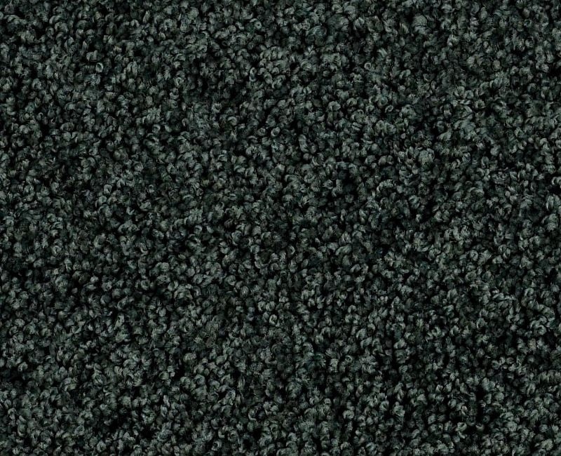 Orlando PV Shamrock Nylon Carpet - Textured