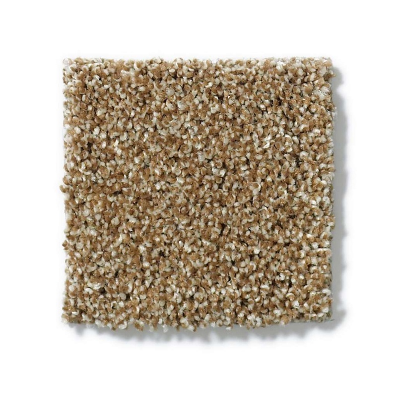 Picturesque Leather Bound Nylon Carpet - Textured