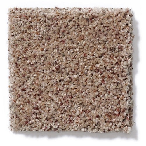 Real Life Ii Cinnamon Toast Nylon Carpet - Textured