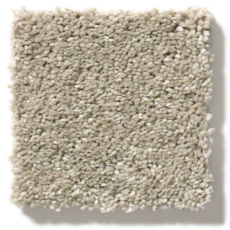 Simply The Best After All Ii Sandstone Polyester Carpet - Textured