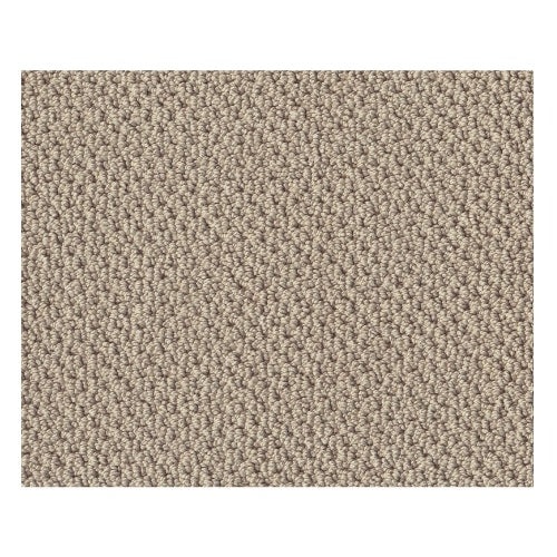 Truly Tranquil Loop Bare Essence Nylon Carpet