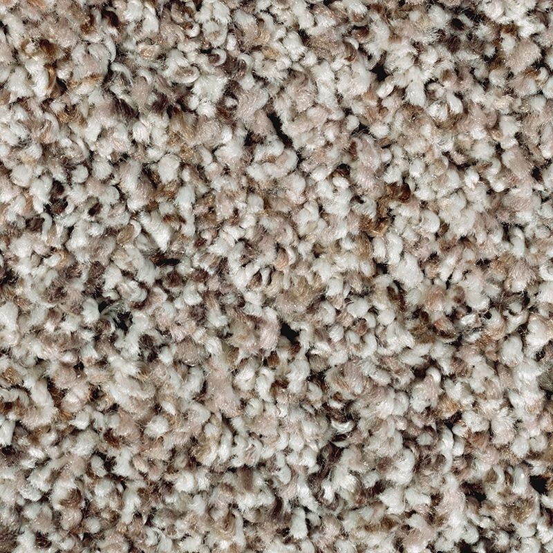 Softly Elegant I Destiny Polyester Carpet - Textured