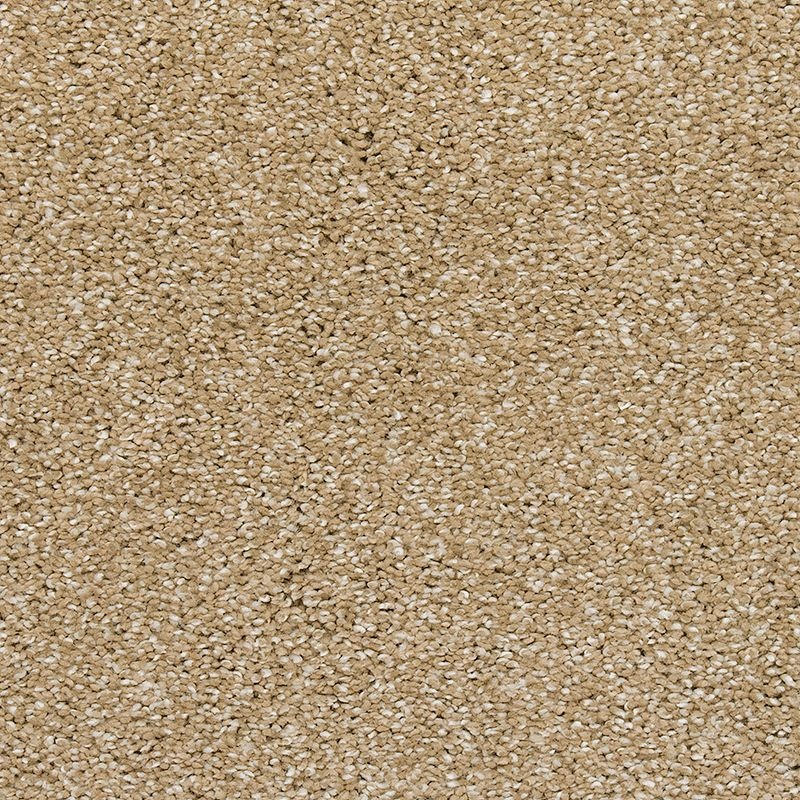 Stonington Manor Ii Hearth Beige Triexta Carpet - Textured