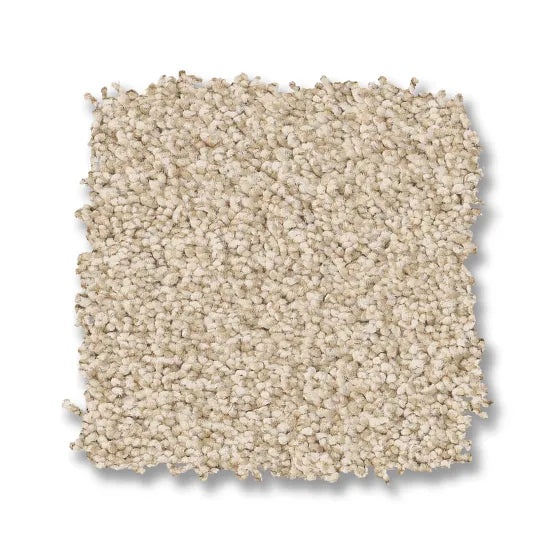 Avalon Bay Risotto Nylon Carpet - Textured