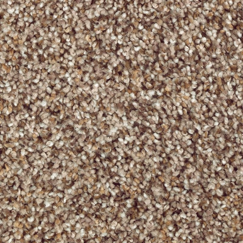 Nature's Luxury I Grey Hearth Triexta Carpet - Textured