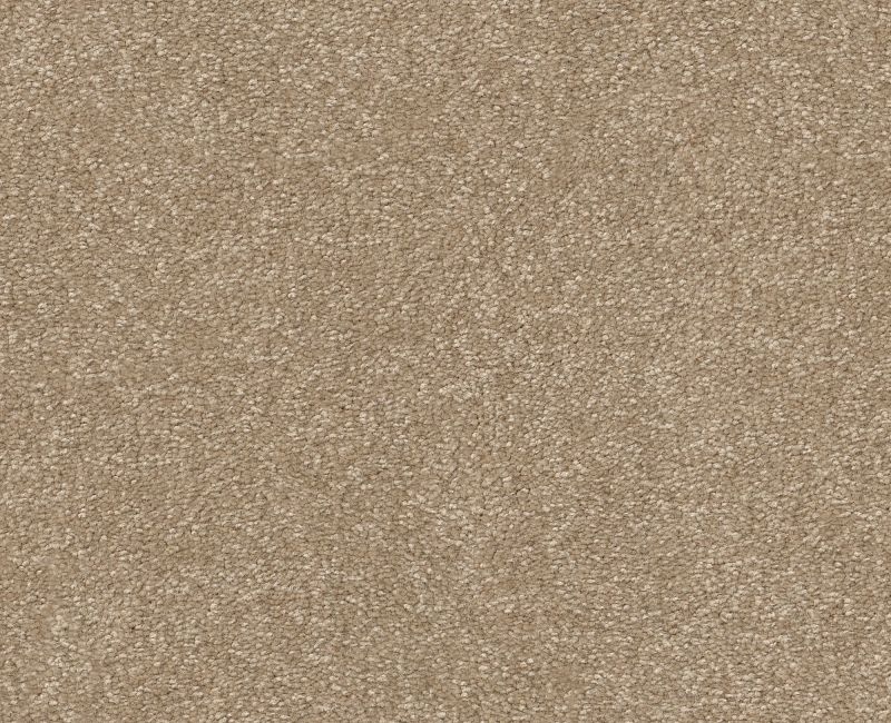 Pet Perfect Hard At Play Ii 15' Worn Path Polyester Carpet - Textured
