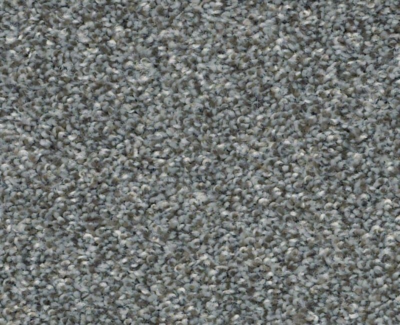 Marina Ii Mountain Path Polyester Carpet - Textured