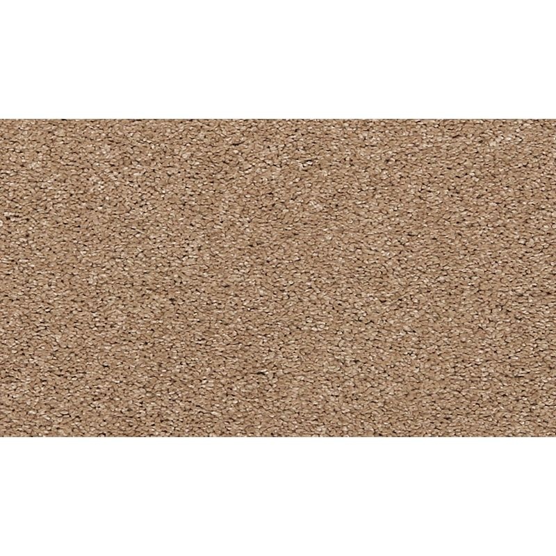 Luxuriant Feel Halo Triexta Carpet - Textured