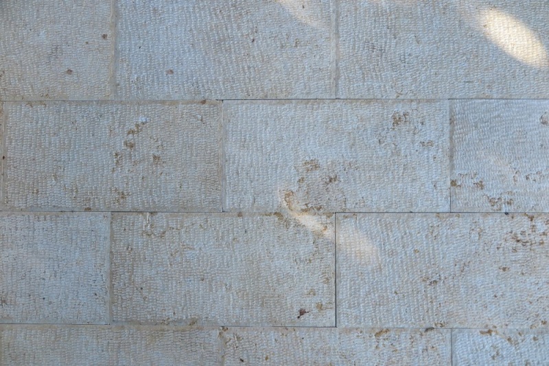 Jerusalem Gold Limestone Tile - Fine Chiseled - 12" X 24"