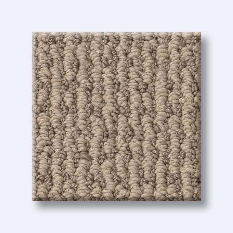 Pet Perfect Plus Crafted Embrace Beige Bisque Polyester Carpet - Loop