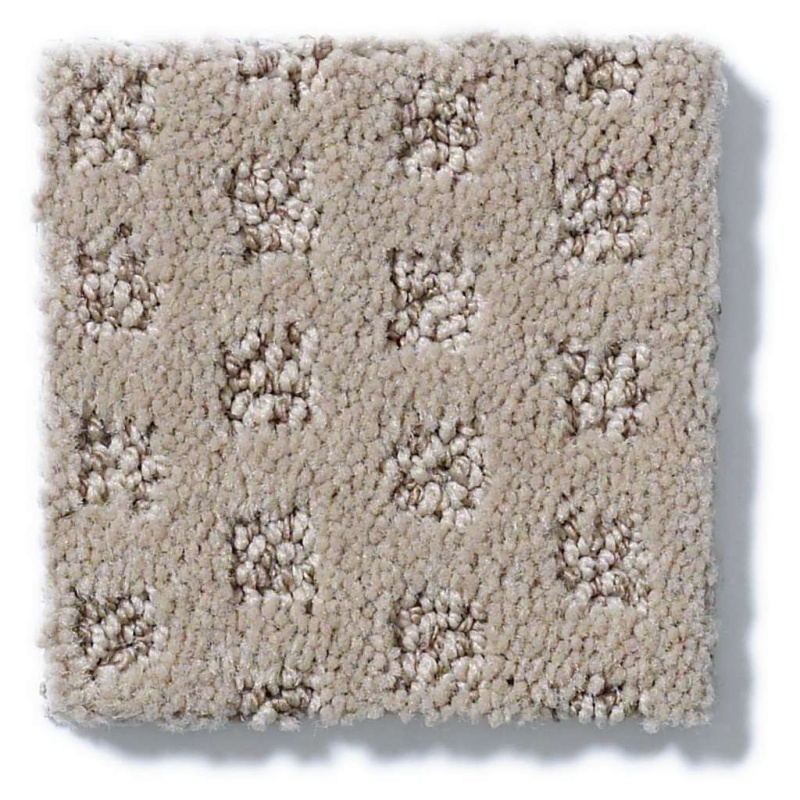 Caress By Shaw The Arts Dundee Nylon Carpet - Pattern
