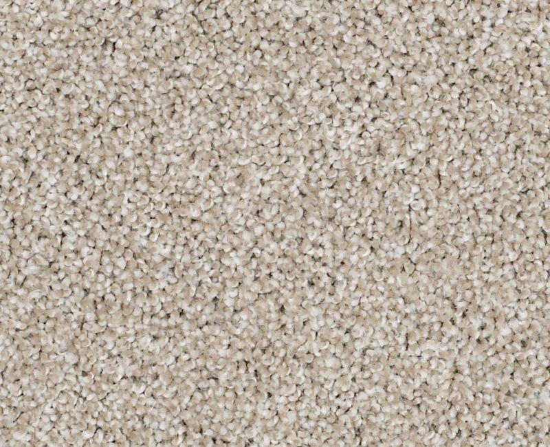 On The Brink I Biscotti Nylon Carpet - Textured