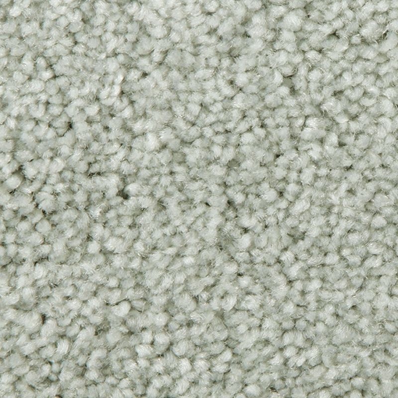 Distinct Beauty I Seamist Polyester Carpet - Textured