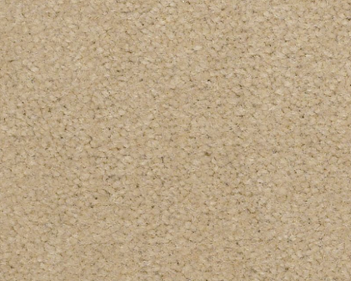 Emphatic II 30 Candlewick Nylon Carpet - Textured, Full Roll