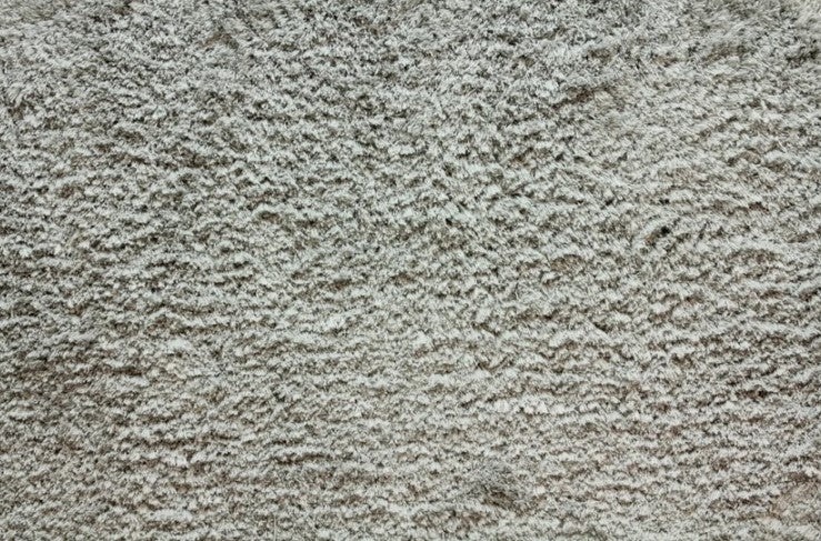 Avantgarde Shaggy Posh Silver Polyester Carpet - Textured