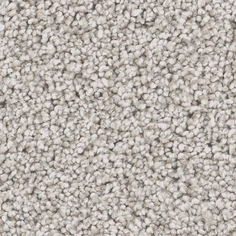 Pet Perfect Grand Influence II London Fog Textured Carpet