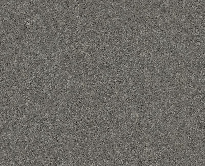 Detailed Elegance I Charcoal Nylon Carpet - Loop