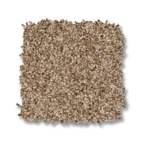 Classics Terra Nova Hazel Textured Nylon Carpet – Full Roll