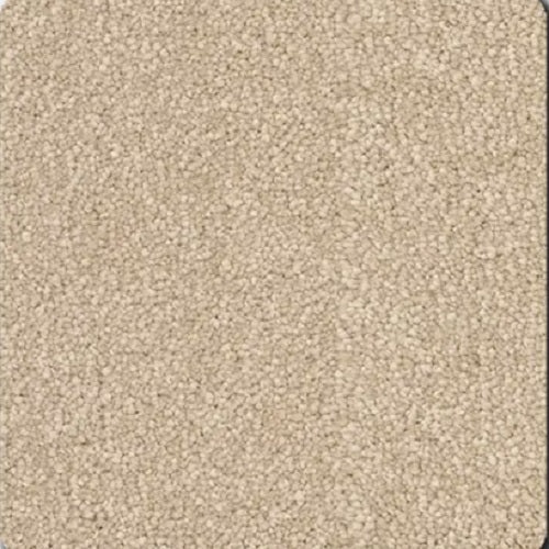 Momentum Ii Westwood Polyester Carpet - Textured