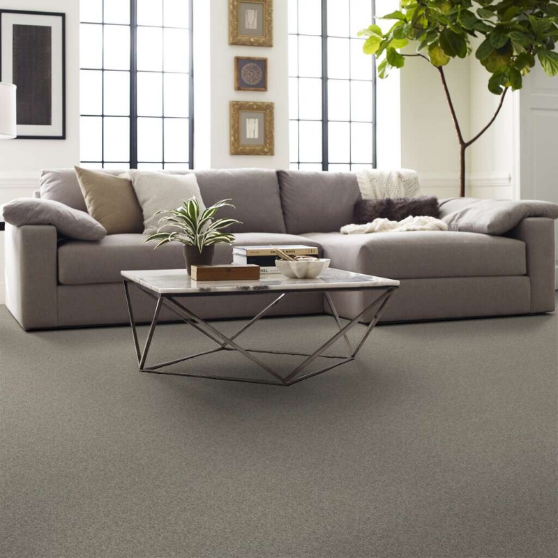 Soft Shades My Choice I Rocky Coast Nylon Carpet - Textured
