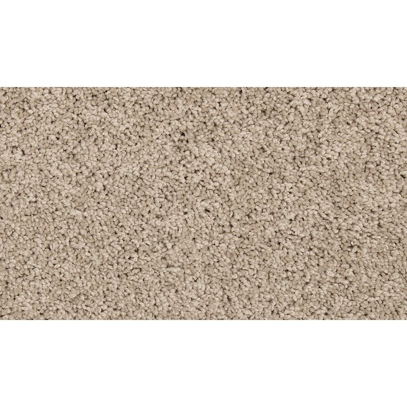 Renovate Iii Birdbath Polyester Carpet - Textured