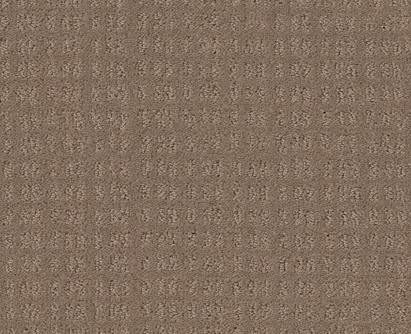 Now Or Never Raw Wood Nylon Carpet - Loop