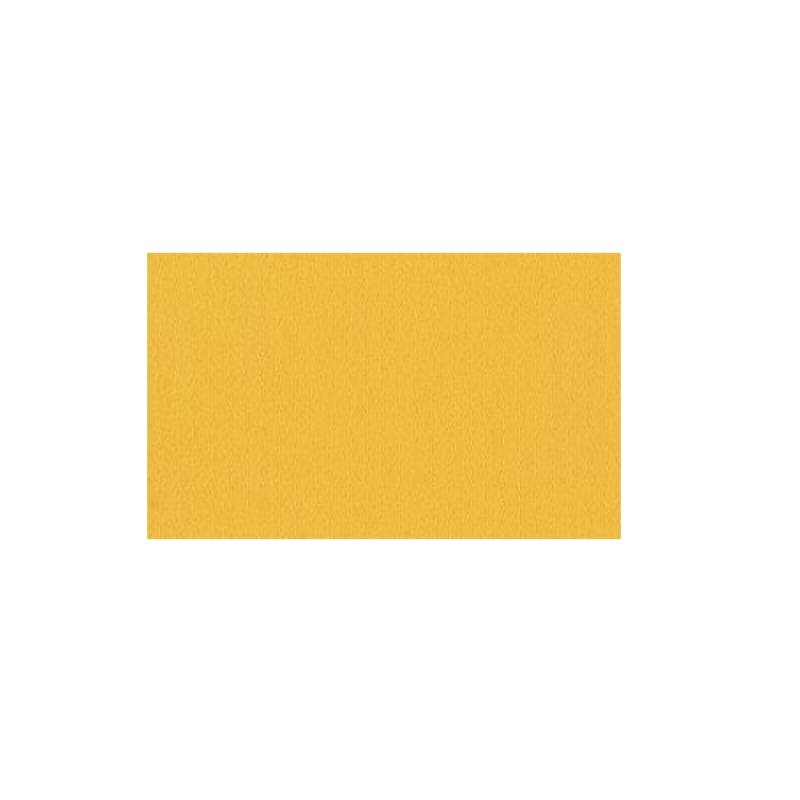 Color Accents Citrus Nylon Carpet Tile - Loop - 24" X 24"