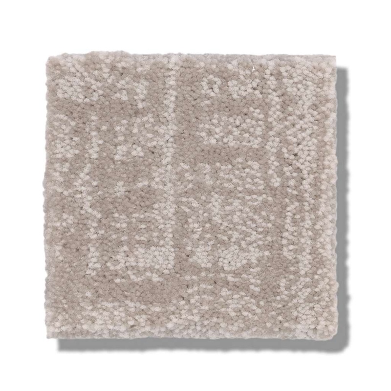 Caress By Shaw Insightful Journey Baltic Stone Nylon Carpet - Pattern