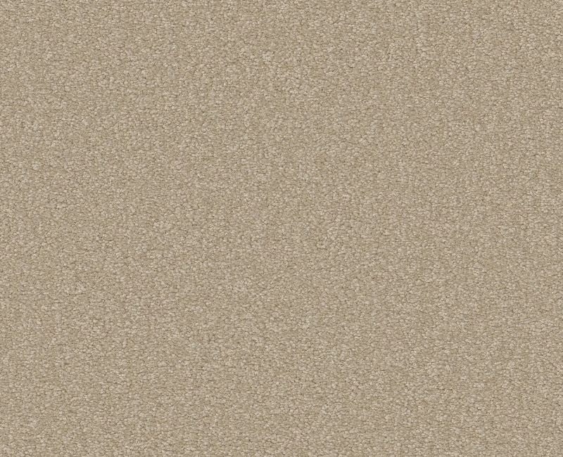 Qs580 Quartz Nylon Carpet - Textured