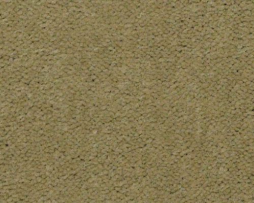 Emphatic Ii 30 Tea Green Nylon Carpet - Textured