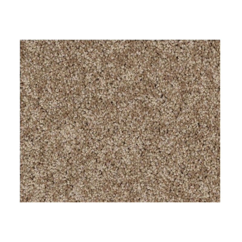 Butterfly Kisses 1 Bird House Nylon Carpet - Textured