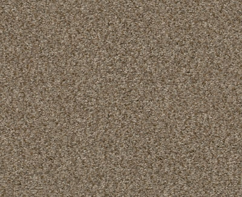 Marina I Mesa Polyester Carpet - Textured
