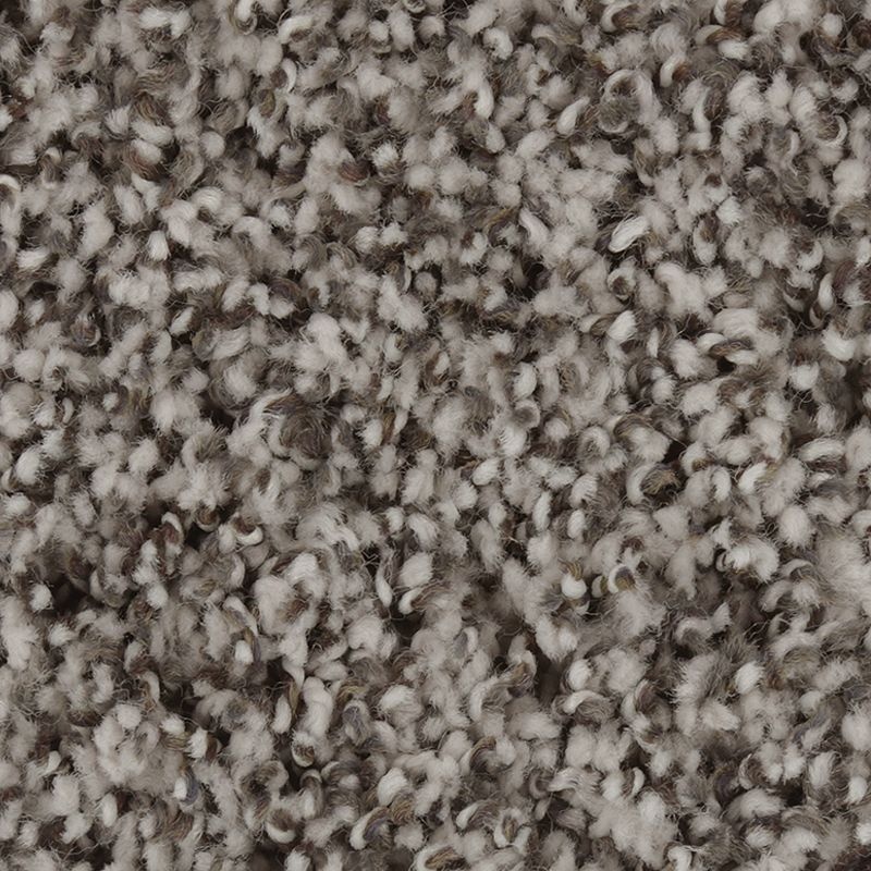 Exquisite Character White Wash Triexta Carpet - Textured