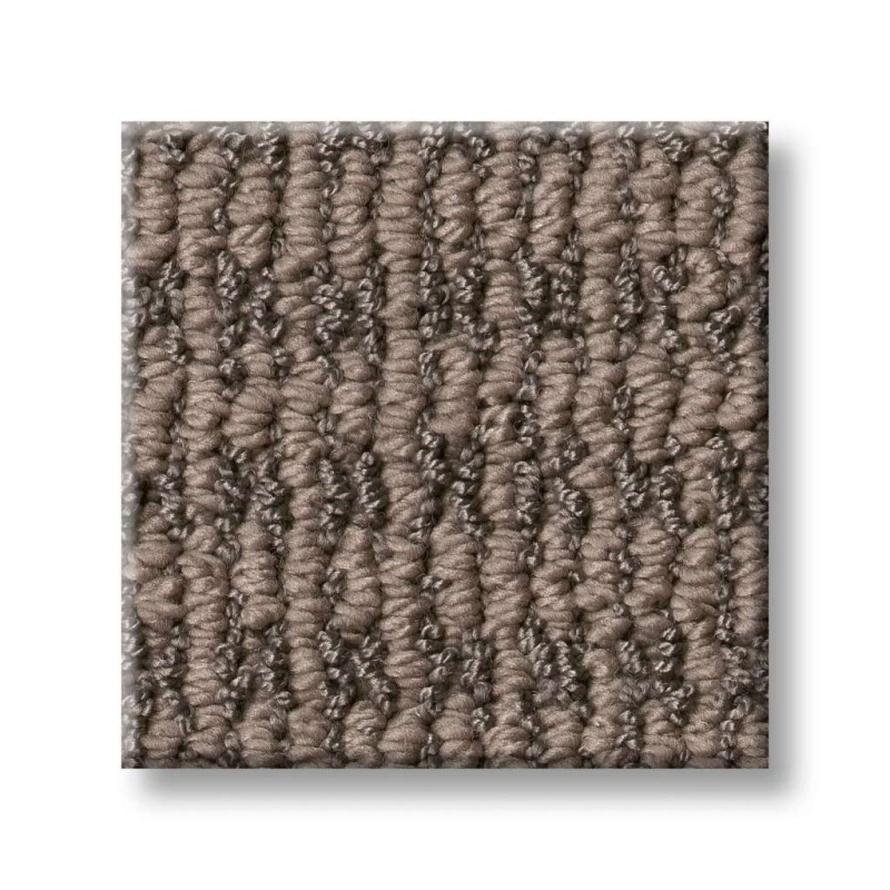 Pet Perfect Plus Chic Elevation Chestnut Polyester Carpet - Loop