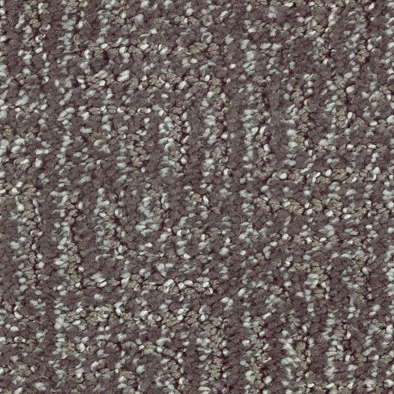 Natural Treasure Wrought Iron Triexta Carpet