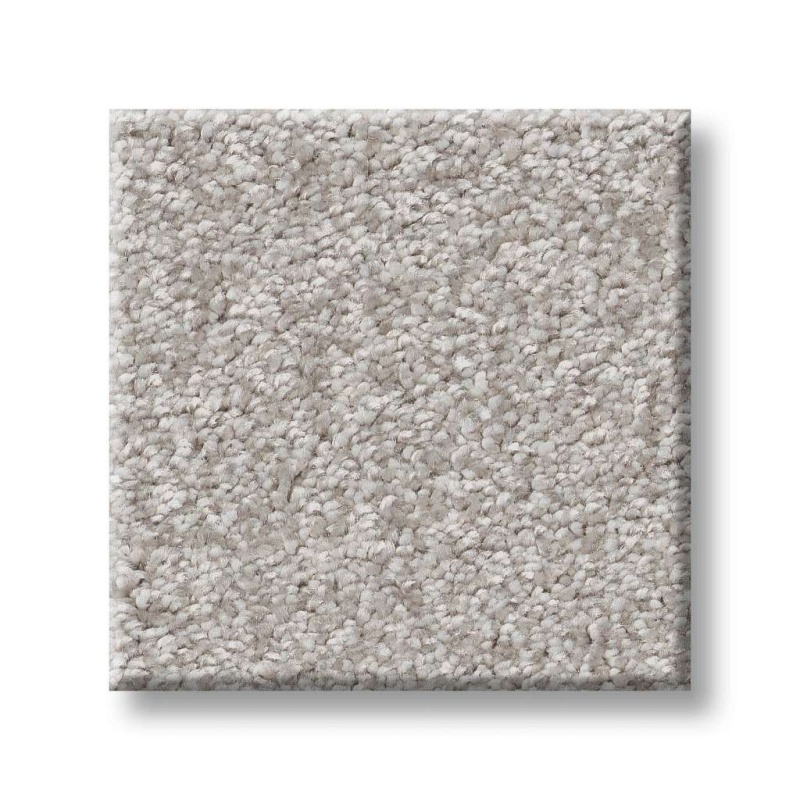 Pet Perfect You Got This II Frozen Polyester Carpet