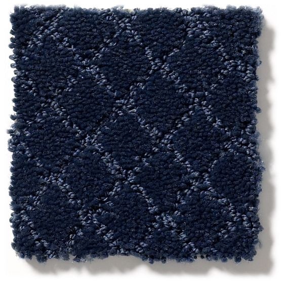 Pet Perfect Pawnache Downpour Nylon Carpet - Pattern