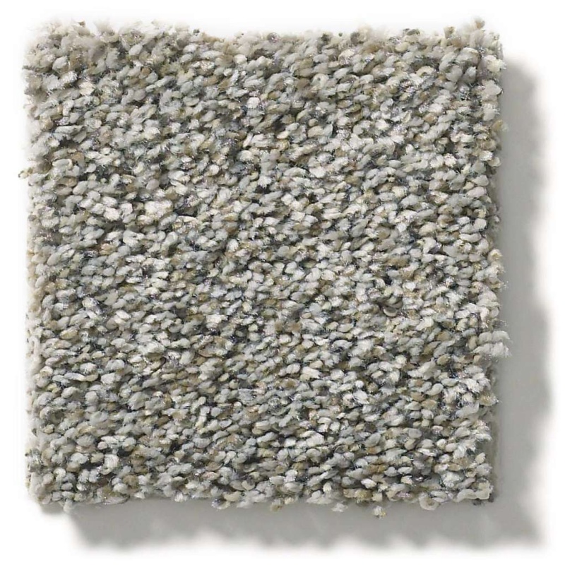 Simply The Best All Set I Rhino Polyester Carpet - Textured