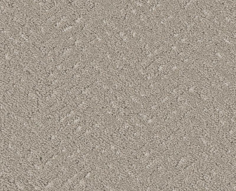Showing Out Sculpture Polyester Carpet - Pattern