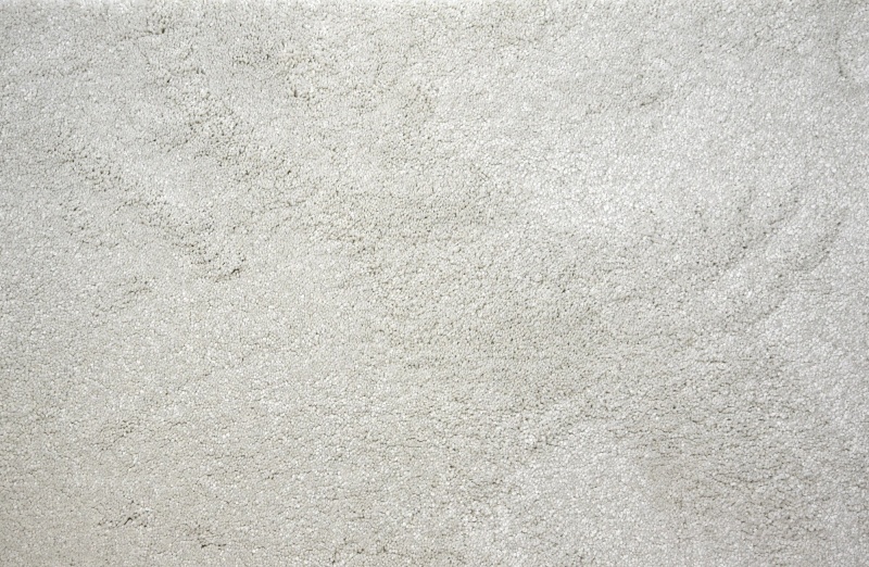 Stanton Vivo Merry Frost Textured Carpet
