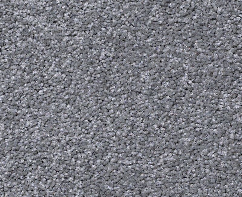 Great Choice Mindful Gray Nylon Carpet - Textured