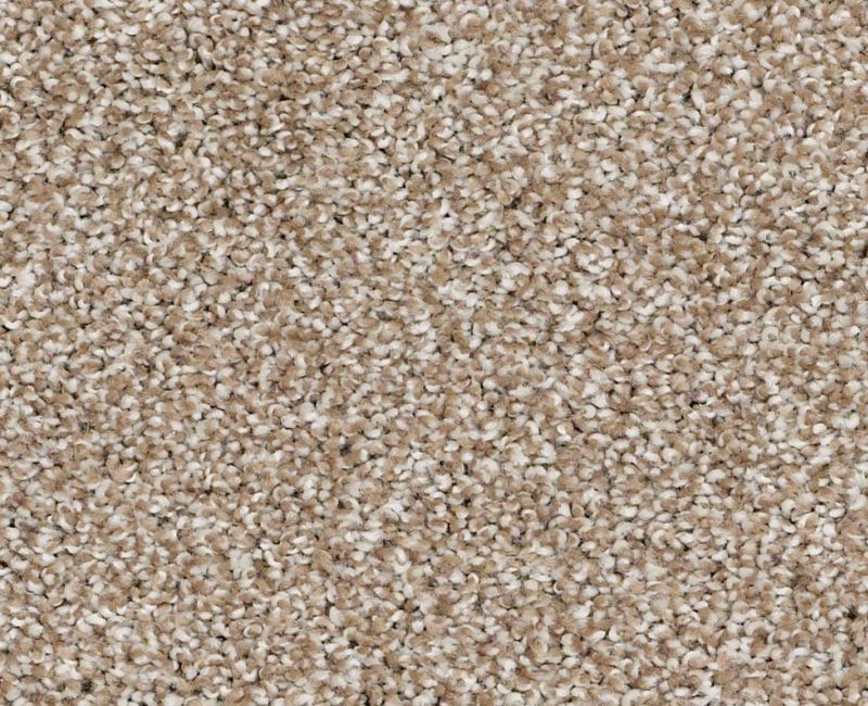 Anso Open I (T) Mole Hill Nylon Carpet - Textured