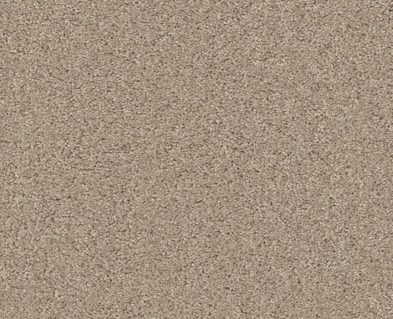 Detailed Elegance Iii Bare Essence Nylon Carpet - Loop