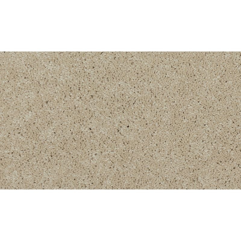 Soft Edition Ii Contempo Polyester Carpet - Textured