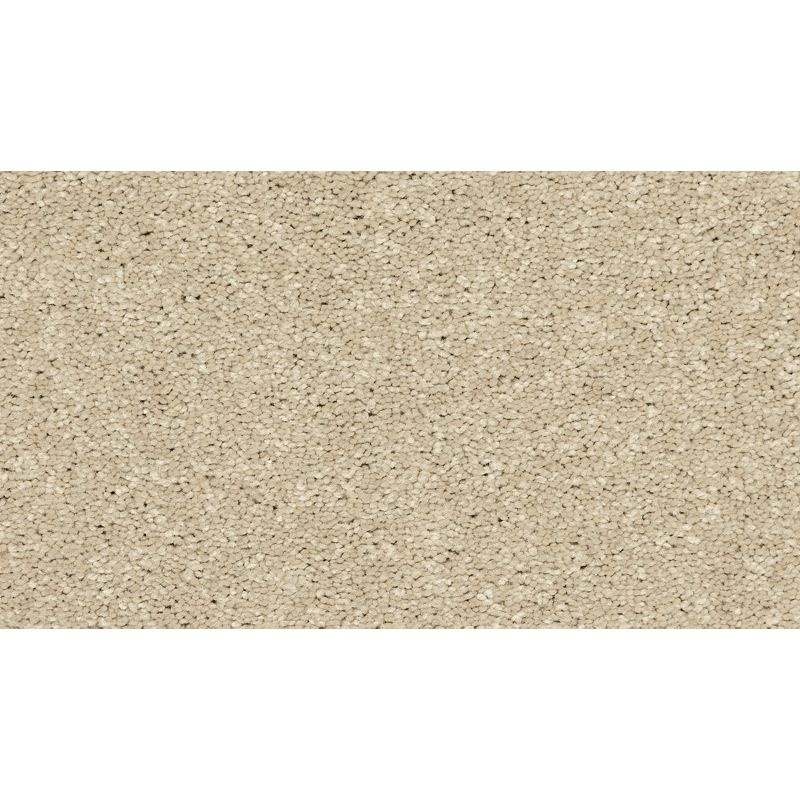 Modern Story Iii Stone Lion Polyester Carpet - Textured