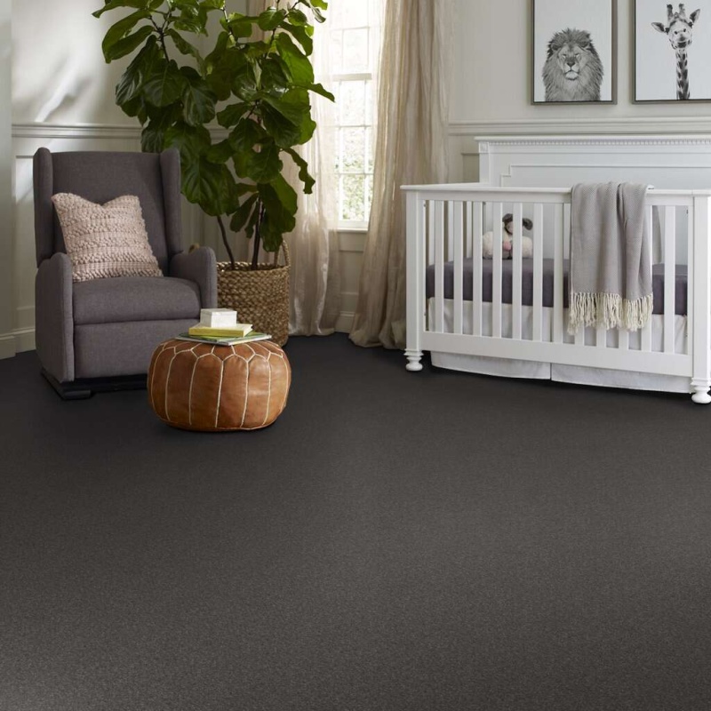 Caress By Shaw Quiet Comfort Classic I Armory Nylon Carpet - Textured