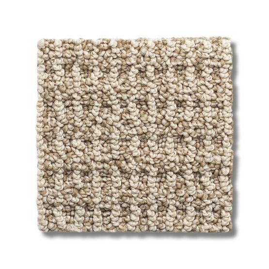 Classics Portofino Handwoven Nylon Carpet - Loop