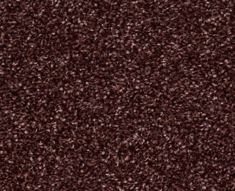 Uncomplicated Berry Nylon Carpet - Pattern