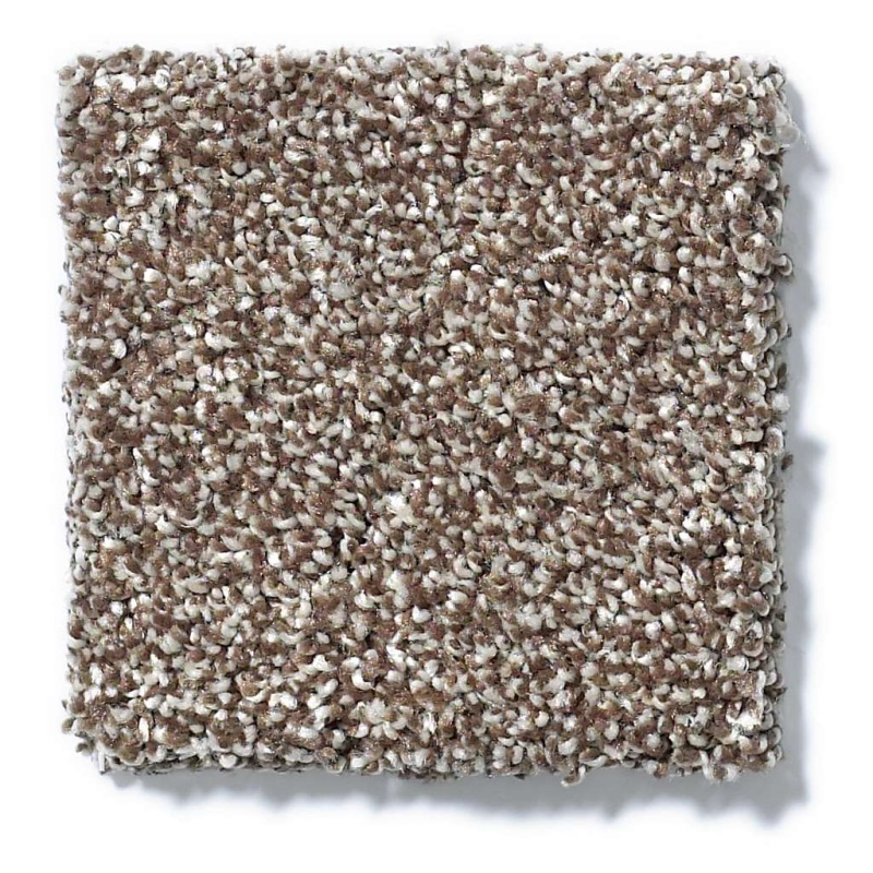 You Know It Saddle Nylon Carpet - Textured